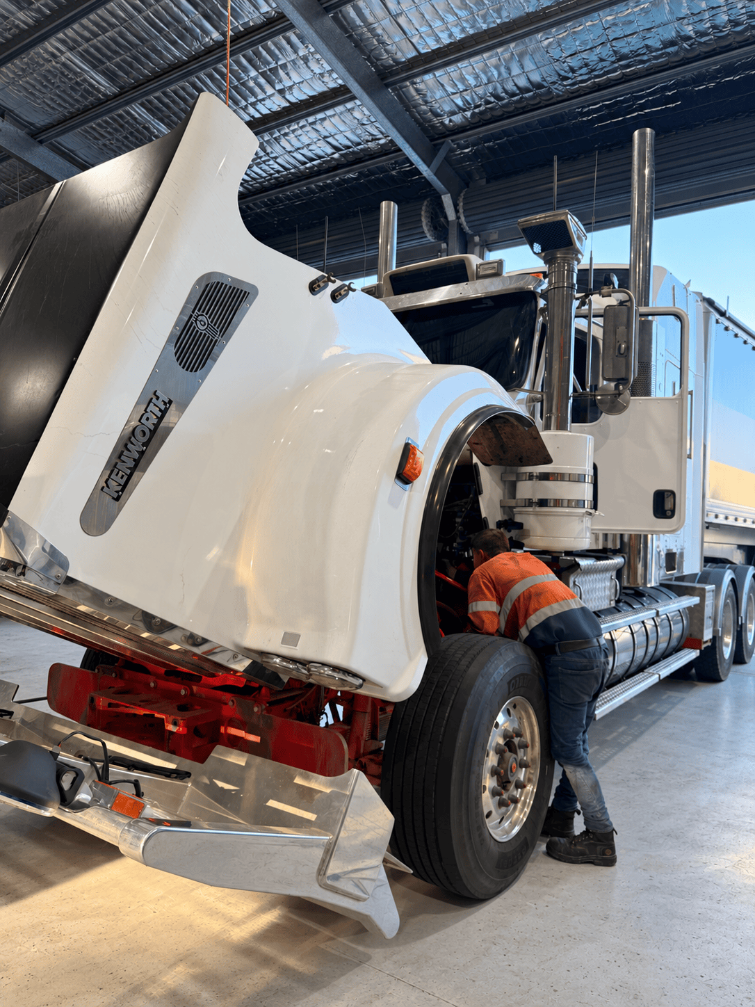Technician diagnosing a heavy truck